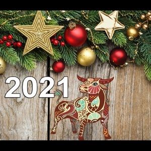 Meet your Posher, Alina